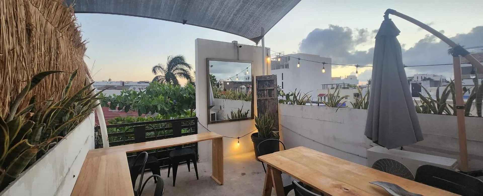 Hom Hostel Boutique Playa del Carmen Mexique