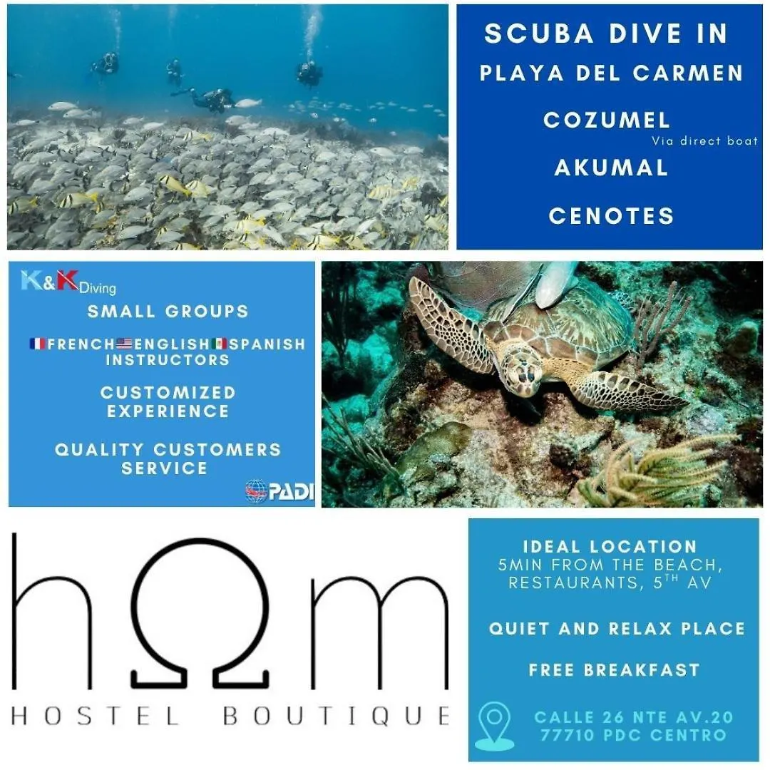 Hom Hostel Boutique Playa del Carmen 0*,  Mexique