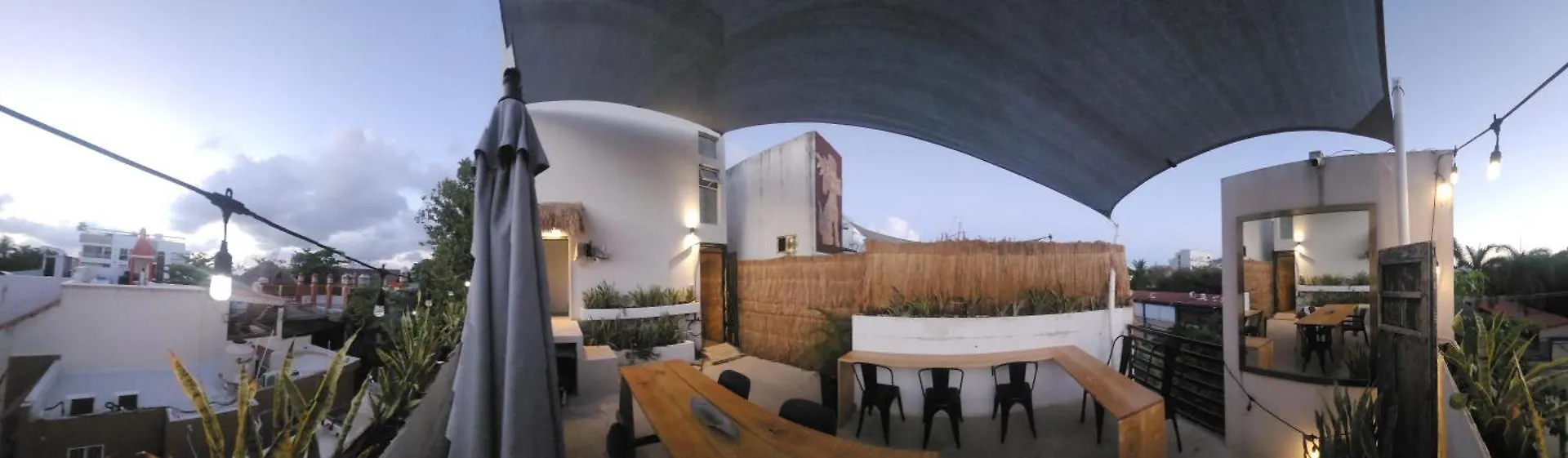 Hom Hostel Boutique Playa del Carmen Meksika