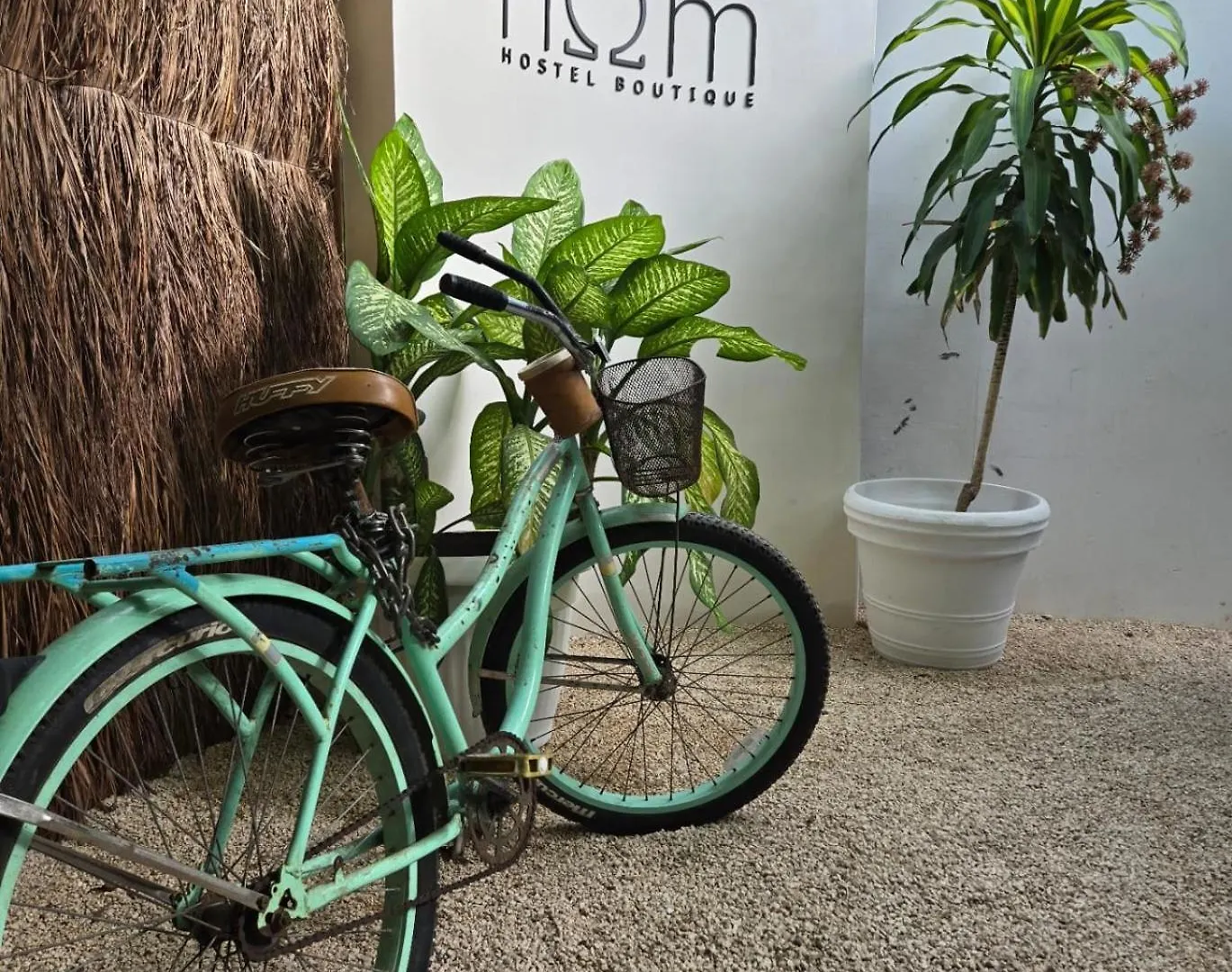 Hom Hostel Boutique Playa del Carmen 0*,